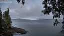 ./images/koeye/fitz-hugh/20250512/fitz-hugh20250512_053508M.jpg