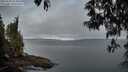 ./images/koeye/fitz-hugh/20250512/fitz-hugh20250512_054009M.jpg