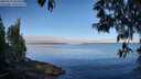 ./images/koeye/fitz-hugh/20250512/fitz-hugh20250512_082010M.jpg