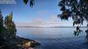 ./images/koeye/fitz-hugh/20250512/fitz-hugh20250512_085010M.jpg