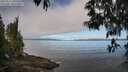 ./images/koeye/fitz-hugh/20250512/fitz-hugh20250512_090510M.jpg
