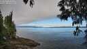 ./images/koeye/fitz-hugh/20250512/fitz-hugh20250512_091011M.jpg