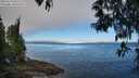 ./images/koeye/fitz-hugh/20250512/fitz-hugh20250512_091511M.jpg