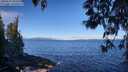 ./images/koeye/fitz-hugh/20250512/fitz-hugh20250512_092510M.jpg