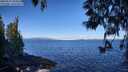 ./images/koeye/fitz-hugh/20250512/fitz-hugh20250512_093011M.jpg