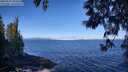 ./images/koeye/fitz-hugh/20250512/fitz-hugh20250512_093510M.jpg