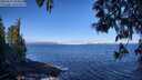 ./images/koeye/fitz-hugh/20250512/fitz-hugh20250512_094010M.jpg