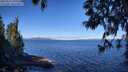 ./images/koeye/fitz-hugh/20250512/fitz-hugh20250512_095509M.jpg
