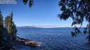 ./images/koeye/fitz-hugh/20250512/fitz-hugh20250512_100510M.jpg