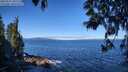 ./images/koeye/fitz-hugh/20250512/fitz-hugh20250512_101511M.jpg