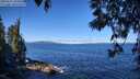 ./images/koeye/fitz-hugh/20250512/fitz-hugh20250512_102008M.jpg