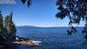 ./images/koeye/fitz-hugh/20250512/fitz-hugh20250512_103011M.jpg