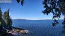 ./images/koeye/fitz-hugh/20250512/fitz-hugh20250512_110011M.jpg