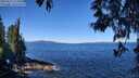 ./images/koeye/fitz-hugh/20250512/fitz-hugh20250512_111011M.jpg