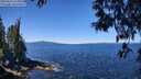 ./images/koeye/fitz-hugh/20250512/fitz-hugh20250512_114010M.jpg