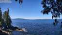./images/koeye/fitz-hugh/20250512/fitz-hugh20250512_114510M.jpg