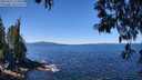 ./images/koeye/fitz-hugh/20250512/fitz-hugh20250512_115010M.jpg