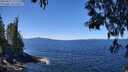 ./images/koeye/fitz-hugh/20250512/fitz-hugh20250512_121511M.jpg