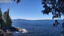 ./images/koeye/fitz-hugh/20250512/fitz-hugh20250512_122509M.jpg