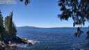./images/koeye/fitz-hugh/20250512/fitz-hugh20250512_123011M.jpg