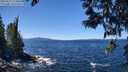 ./images/koeye/fitz-hugh/20250512/fitz-hugh20250512_124009M.jpg