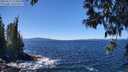 ./images/koeye/fitz-hugh/20250512/fitz-hugh20250512_125011M.jpg