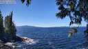 ./images/koeye/fitz-hugh/20250512/fitz-hugh20250512_125508M.jpg