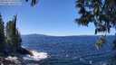 ./images/koeye/fitz-hugh/20250512/fitz-hugh20250512_130510M.jpg