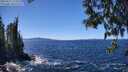 ./images/koeye/fitz-hugh/20250512/fitz-hugh20250512_133011M.jpg