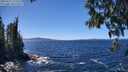 ./images/koeye/fitz-hugh/20250512/fitz-hugh20250512_133509M.jpg