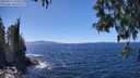 ./images/koeye/fitz-hugh/20250512/fitz-hugh20250512_140011M.jpg