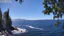 ./images/koeye/fitz-hugh/20250512/fitz-hugh20250512_141010M.jpg