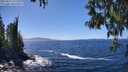 ./images/koeye/fitz-hugh/20250512/fitz-hugh20250512_141510M.jpg