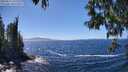 ./images/koeye/fitz-hugh/20250512/fitz-hugh20250512_142510M.jpg