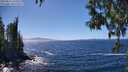 ./images/koeye/fitz-hugh/20250512/fitz-hugh20250512_143508M.jpg