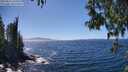 ./images/koeye/fitz-hugh/20250512/fitz-hugh20250512_144510M.jpg