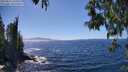 ./images/koeye/fitz-hugh/20250512/fitz-hugh20250512_145010M.jpg