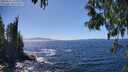 ./images/koeye/fitz-hugh/20250512/fitz-hugh20250512_145509M.jpg