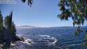 ./images/koeye/fitz-hugh/20250512/fitz-hugh20250512_150011M.jpg