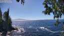 ./images/koeye/fitz-hugh/20250512/fitz-hugh20250512_150510M.jpg