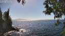 ./images/koeye/fitz-hugh/20250512/fitz-hugh20250512_154009M.jpg