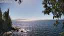 ./images/koeye/fitz-hugh/20250512/fitz-hugh20250512_154511M.jpg