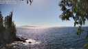 ./images/koeye/fitz-hugh/20250512/fitz-hugh20250512_155011M.jpg
