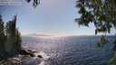 ./images/koeye/fitz-hugh/20250512/fitz-hugh20250512_155509M.jpg