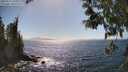 ./images/koeye/fitz-hugh/20250512/fitz-hugh20250512_160011M.jpg