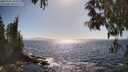 ./images/koeye/fitz-hugh/20250512/fitz-hugh20250512_164511M.jpg