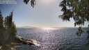 ./images/koeye/fitz-hugh/20250512/fitz-hugh20250512_165011M.jpg
