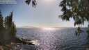 ./images/koeye/fitz-hugh/20250512/fitz-hugh20250512_165509M.jpg