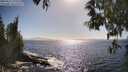 ./images/koeye/fitz-hugh/20250512/fitz-hugh20250512_170509M.jpg