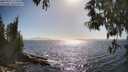 ./images/koeye/fitz-hugh/20250512/fitz-hugh20250512_171009M.jpg